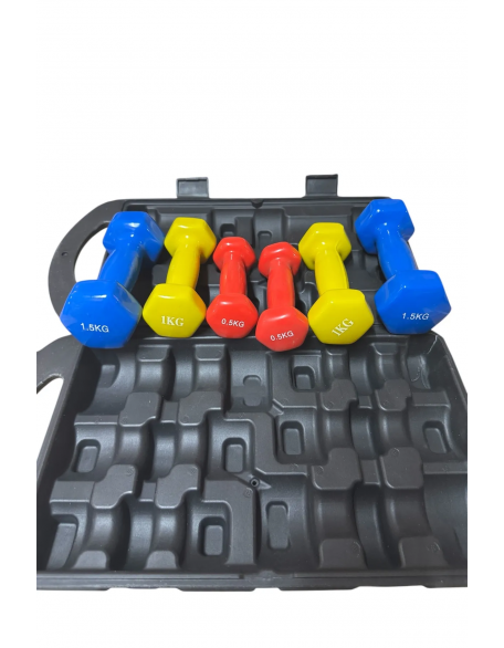 6 Kg Vinly Kaplı Dipping Dumbbell Set Kadınlar İçin Çantalı Dambıl Set 0,5 kg, 1 Kg, 1,5 kg