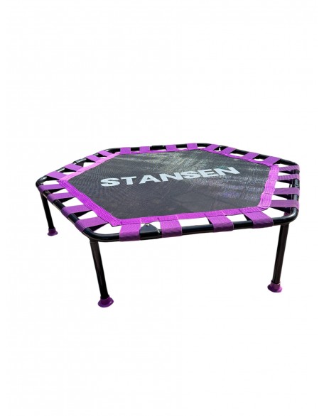 115 Cm (45 INÇ) Tutamaçlı Katlanır Step Trambolin